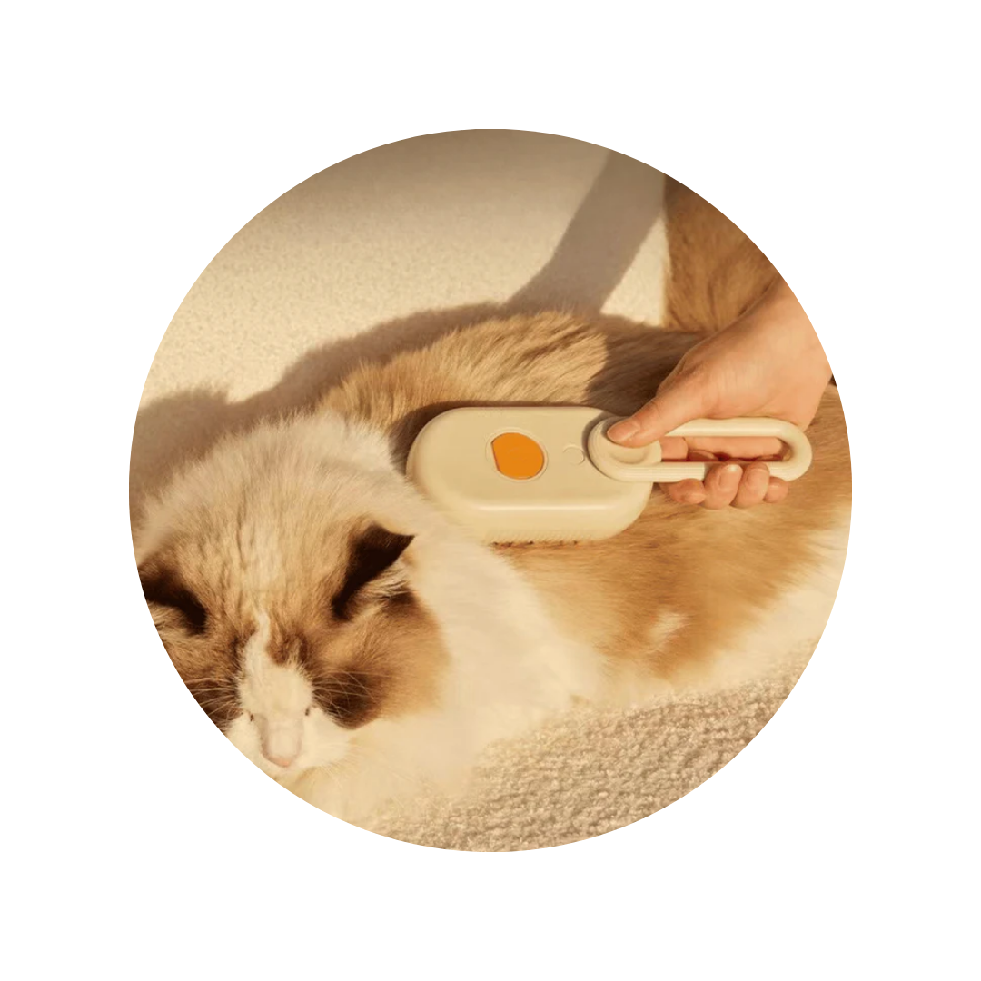 MASCOTAS